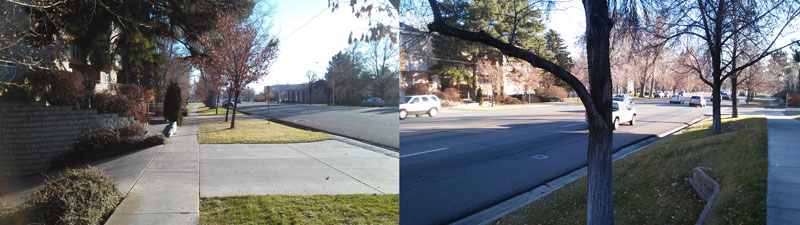 The grass between the sidewalk and the curb exceeds 15 feet along this entire stretch of road.